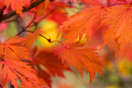 吾爱吃瓜吃瓜看剧第一线